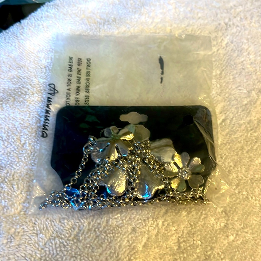 Nice long chrome necklace and earrings